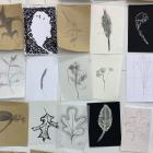 Exposition Rideau