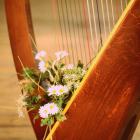 harpe fleurie