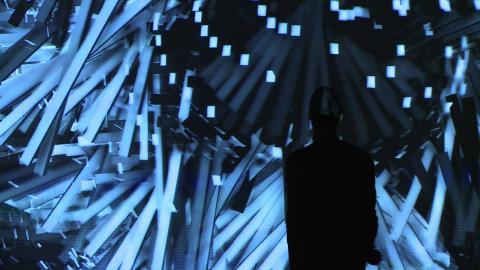L'installation "Bloom"