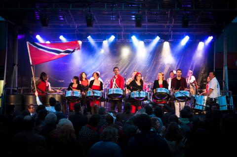 Les musiciens en concert