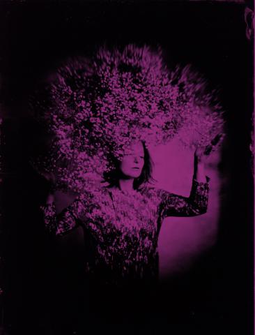 Emmanuel Ligner - Gypsophile