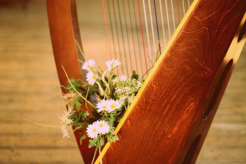 harpe fleurie