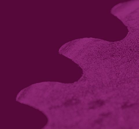 Conférence « Les têtes renversantes » par Diane Gouard