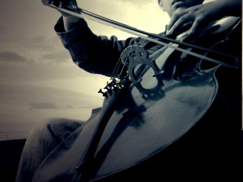 Photo d'un violoncelle