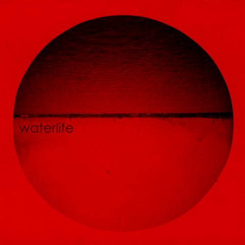 Waterlife quartet